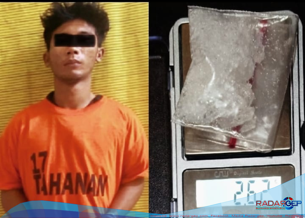 Jual Narkoba Dikebun Sawit Padang Cermin Ditangkap Sat Narkoba Binjai